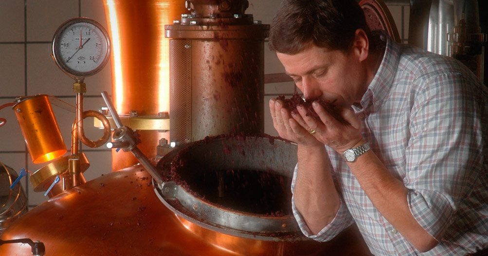 Aromaprüfung von Traubentrester an einer kupfernen Brennanlage